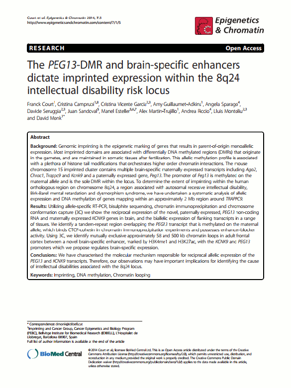 Court, Frank, et al. 'The PEG13-DMR and brain-specific enhancers dictate imprinted expression within the 8q24 intellectual disability risk locus.' Epigenetics & chromatin 7.1 (2014): 1.